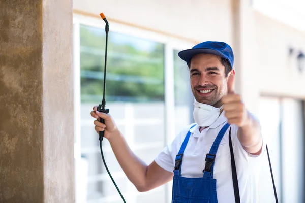 Galveston Wasp Removal