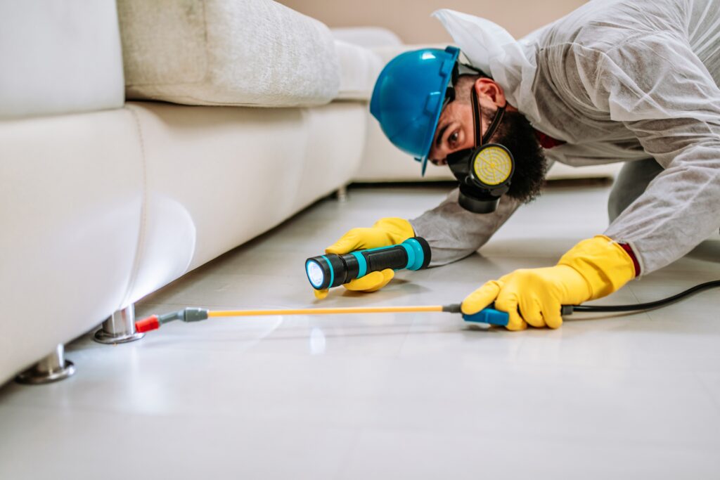 Galveston Termite Control