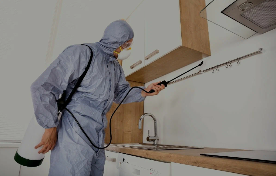 Galveston pest managment